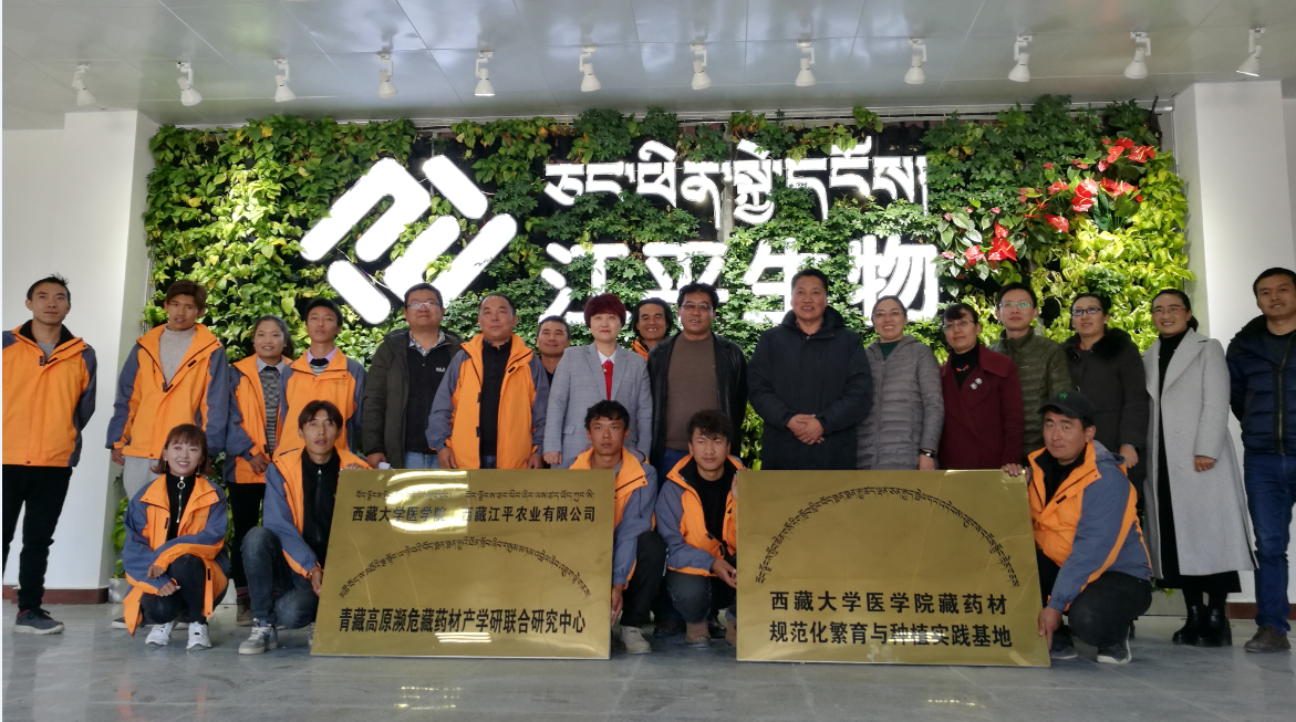 中国·304永利(集团有限公司)-官方网站