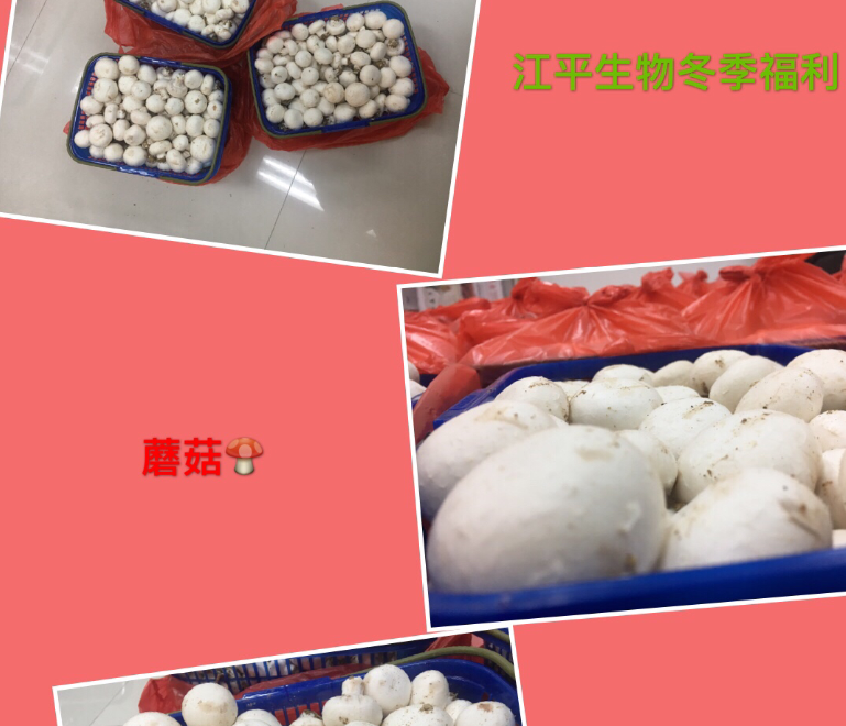 中国·304永利(集团有限公司)-官方网站