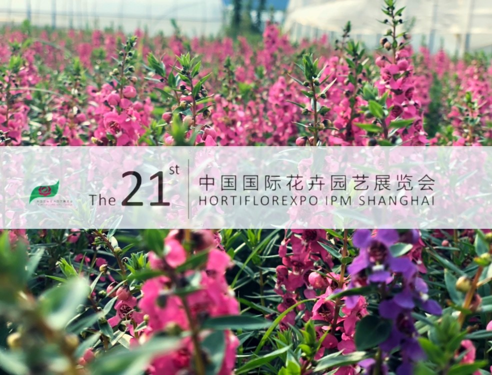 中国·304永利(集团有限公司)-官方网站