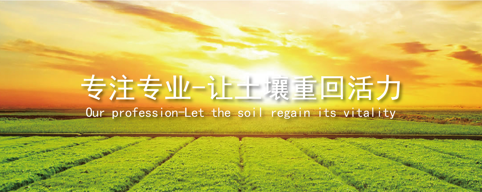 中国·304永利(集团有限公司)-官方网站