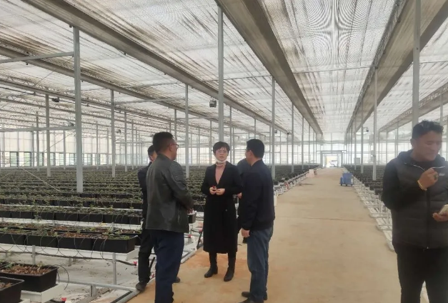 中国·304永利(集团有限公司)-官方网站