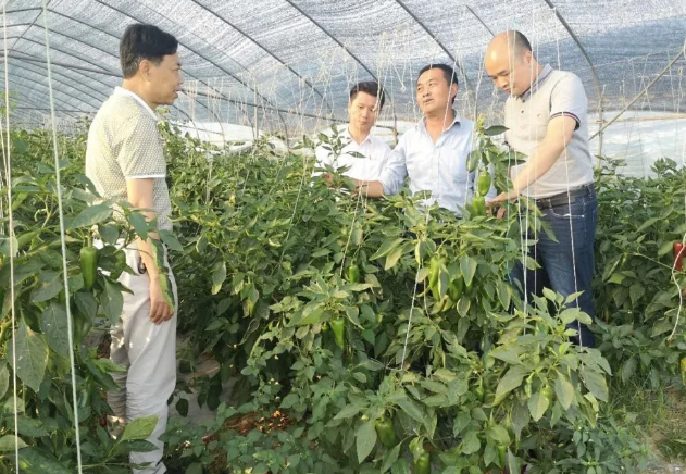 中国·304永利(集团有限公司)-官方网站