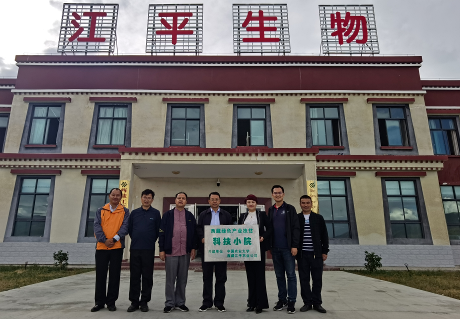 中国·304永利(集团有限公司)-官方网站