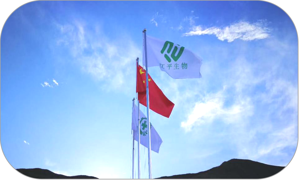 中国·304永利(集团有限公司)-官方网站
