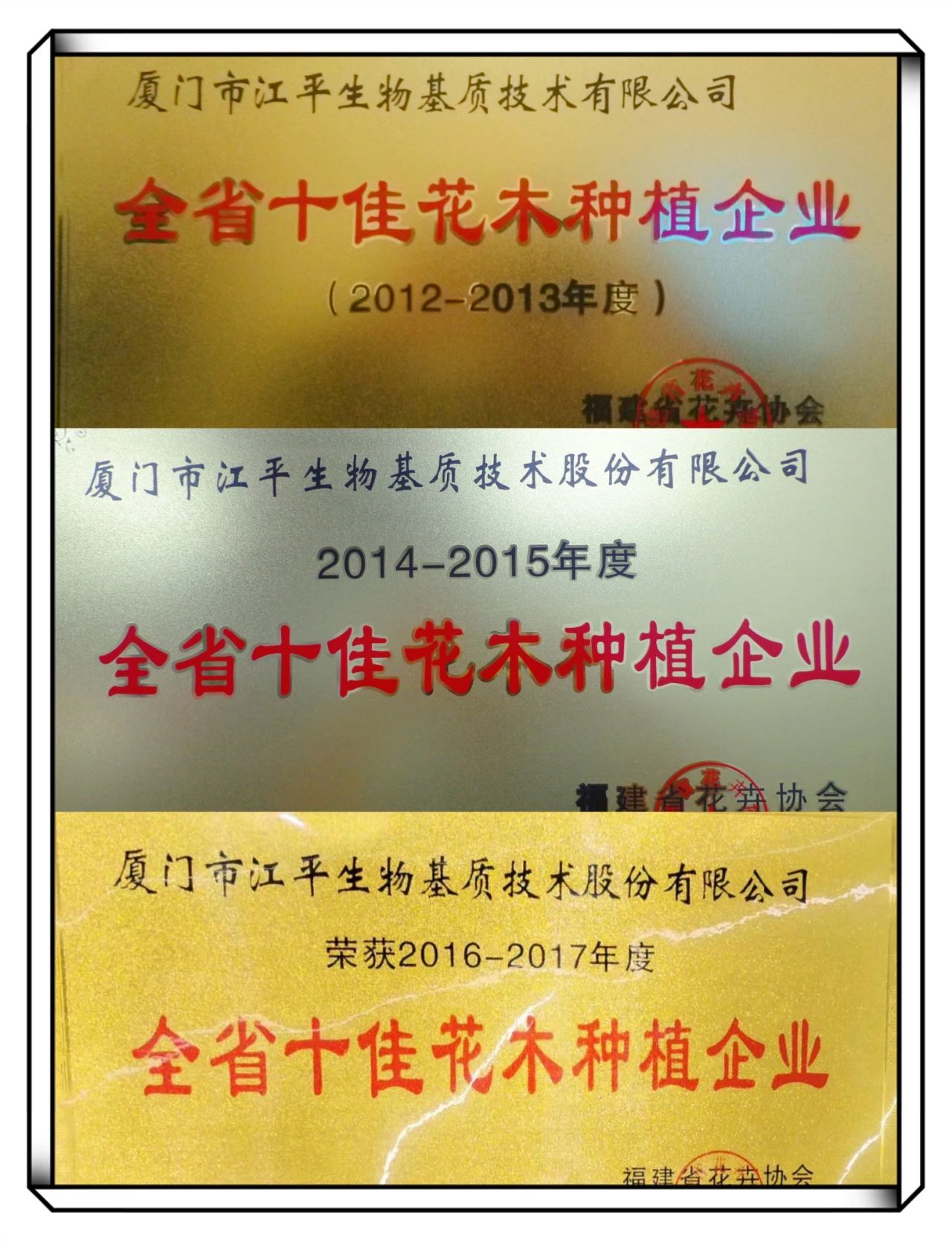 中国·304永利(集团有限公司)-官方网站