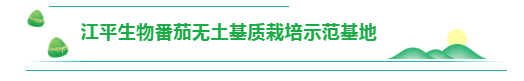 中国·304永利(集团有限公司)-官方网站