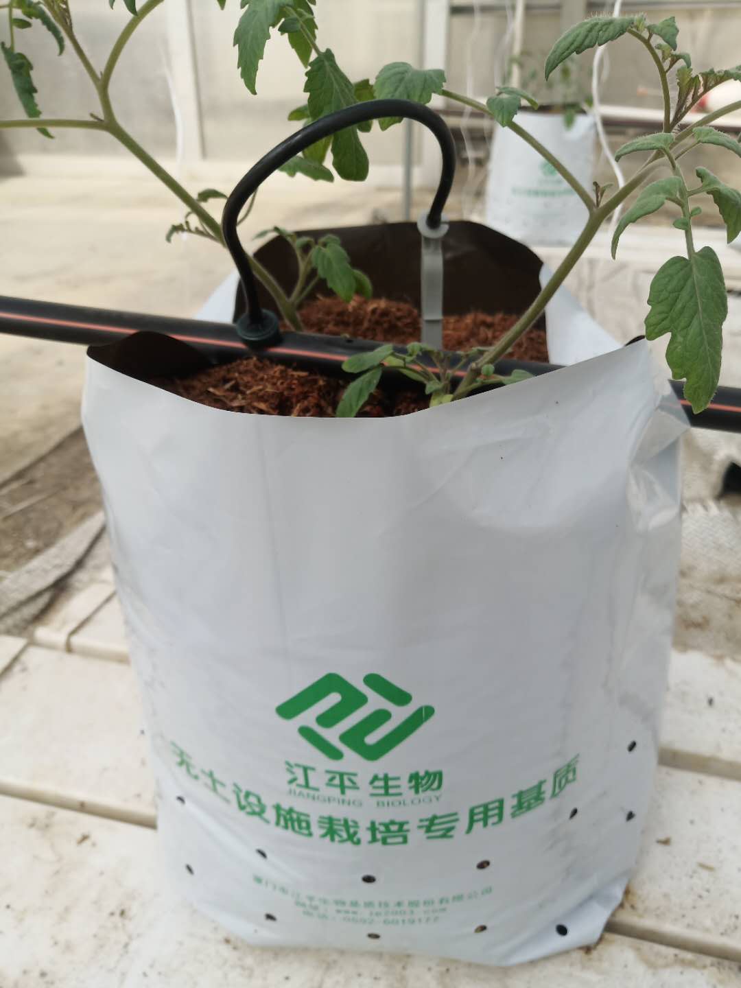 中国·304永利(集团有限公司)-官方网站