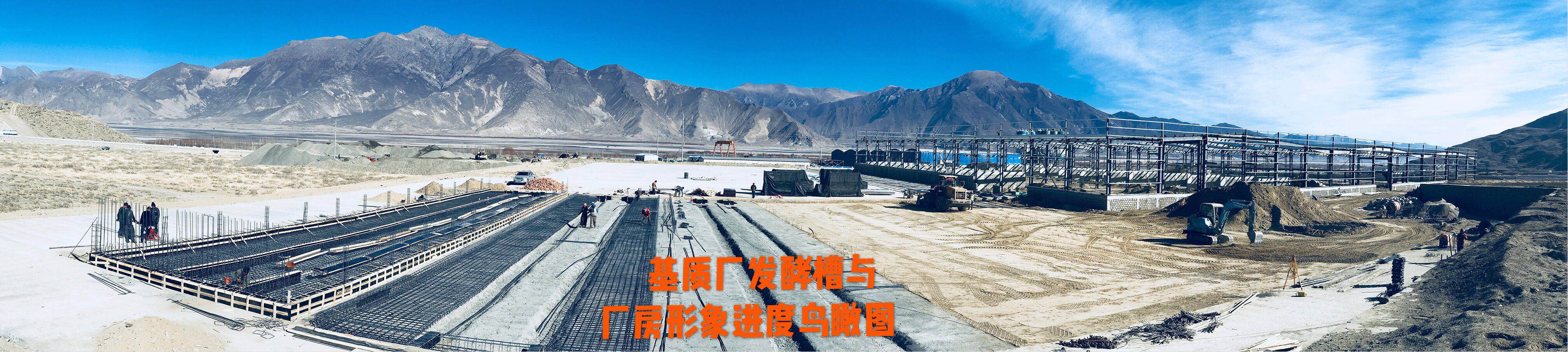 中国·304永利(集团有限公司)-官方网站