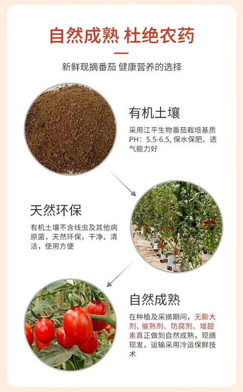 中国·304永利(集团有限公司)-官方网站