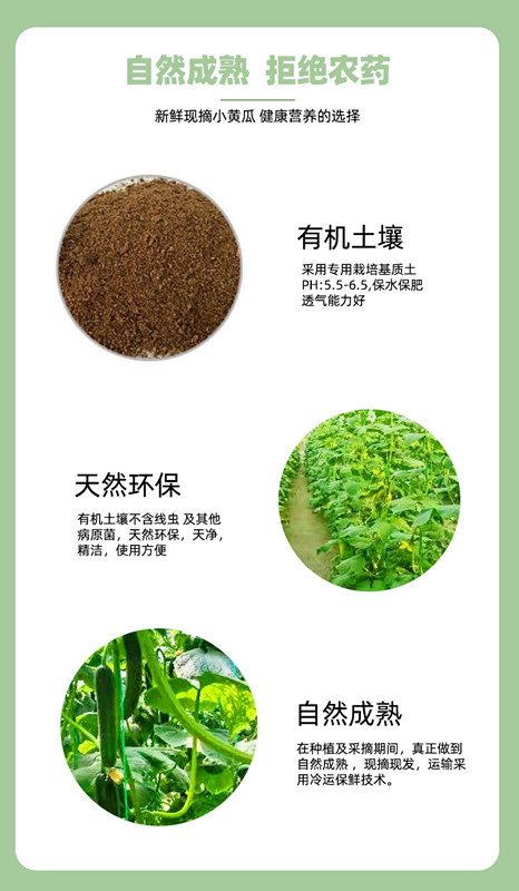 中国·304永利(集团有限公司)-官方网站