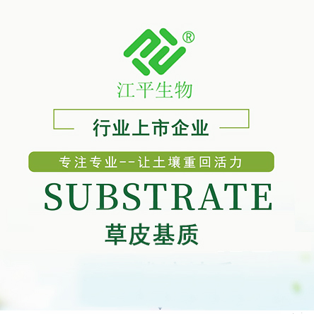 中国·304永利(集团有限公司)-官方网站