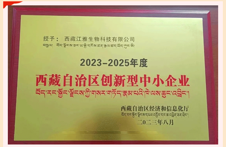 中国·304永利(集团有限公司)-官方网站