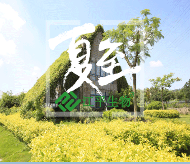 中国·304永利(集团有限公司)-官方网站